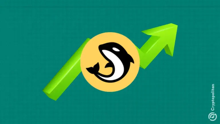 ORCA bewegt sich entgegen dem Markt und löst einen Short Squeeze aus