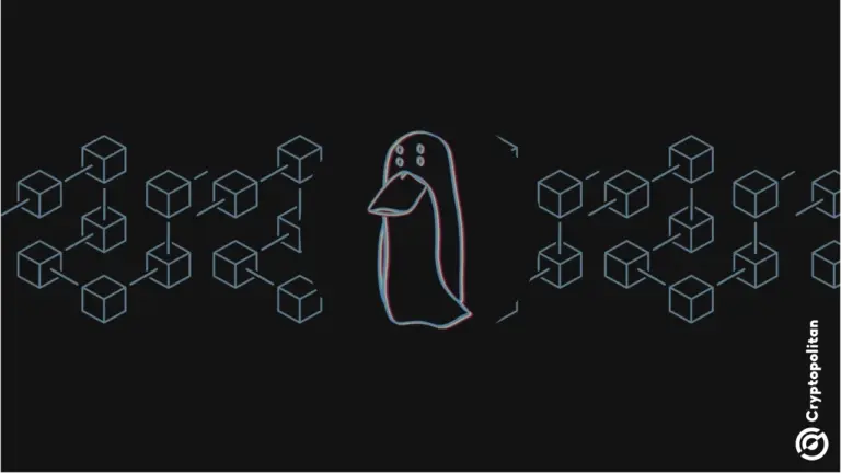 Компания ZachXBT признает возможную утечку информации на фоне пика спекуляций об инсайдерской торговле на рынках прогнозов