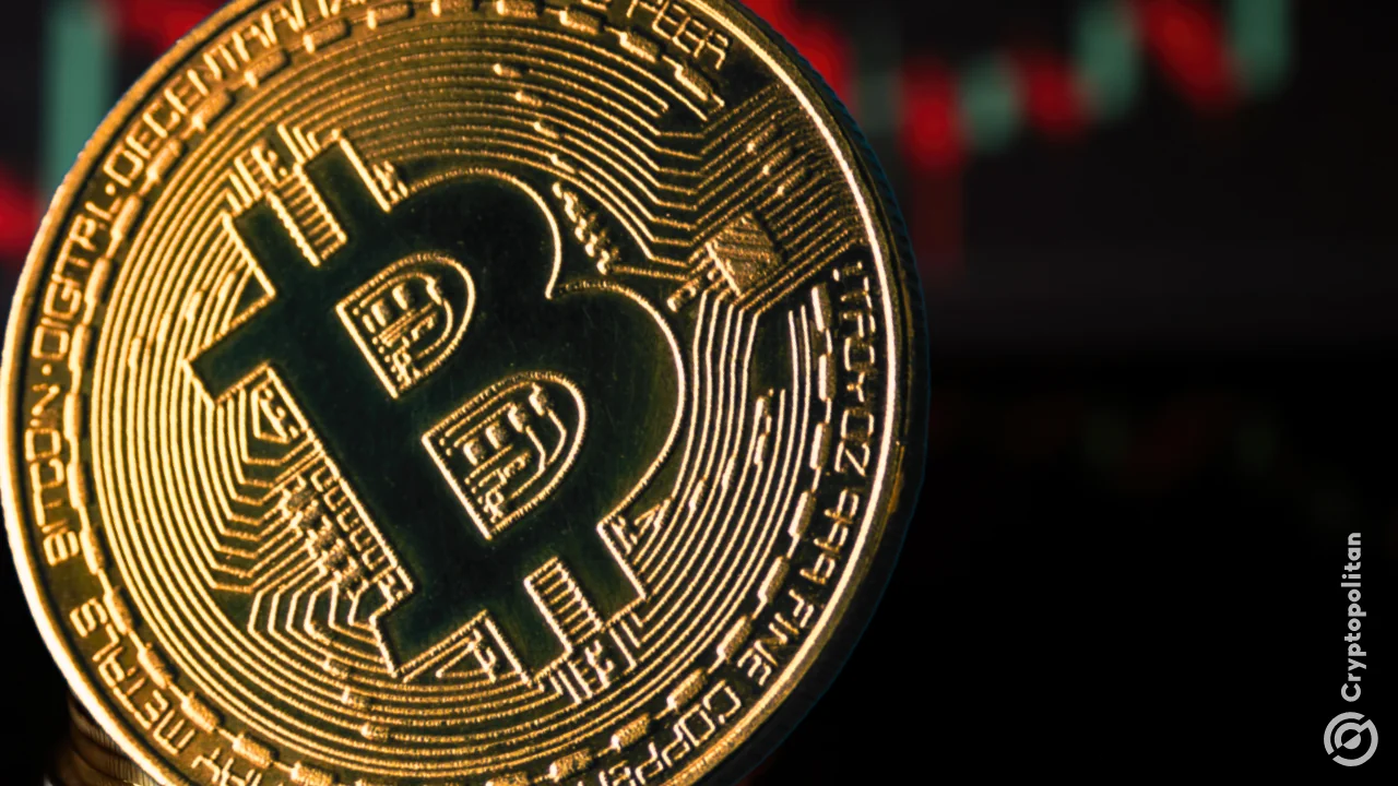 Bitcoin crash deepens: Novogratz sees possible bottom while Michael Burry warns of “Death Spiral”