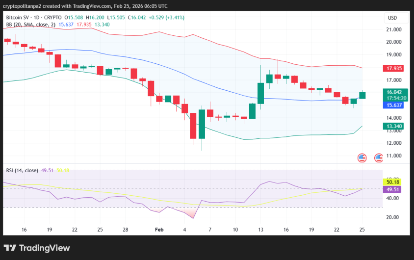 Bitcoin SV 1-day price chart.