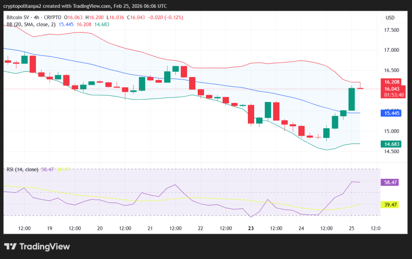 Bitcoin SV 4-hour price chart.