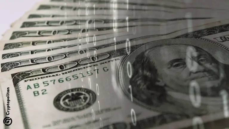 Stake prévoit d'investir dans l'IA et la tokenisation après avoir levé 31 millions de dollars lors de son tour de table de série B.