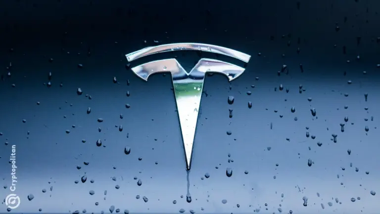 Несмотря ни на что, продажи электромобилей Tesla, произведенных в Китае, в январе выросли на 9,3%