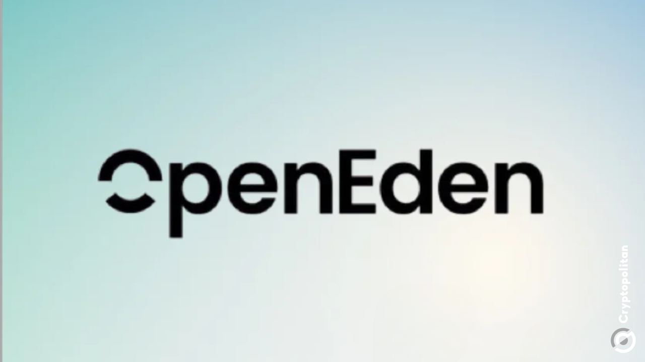 Why did the OpenEden team choose not to sell tokens?