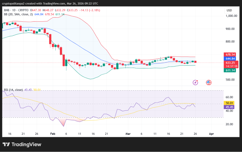 BNB/USD Price Chart.
