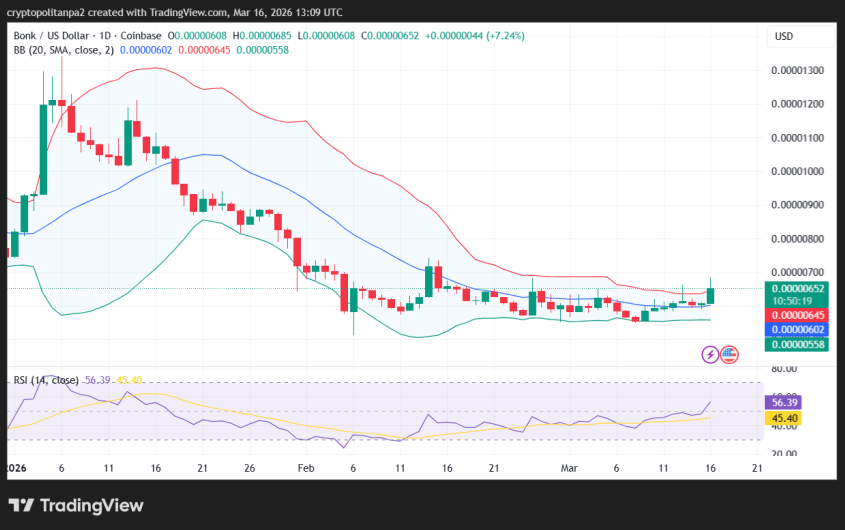Grafico giornaliero del prezzo BONK/USD.