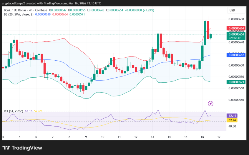 Grafico dei prezzi BONK/USD a 4 ore.