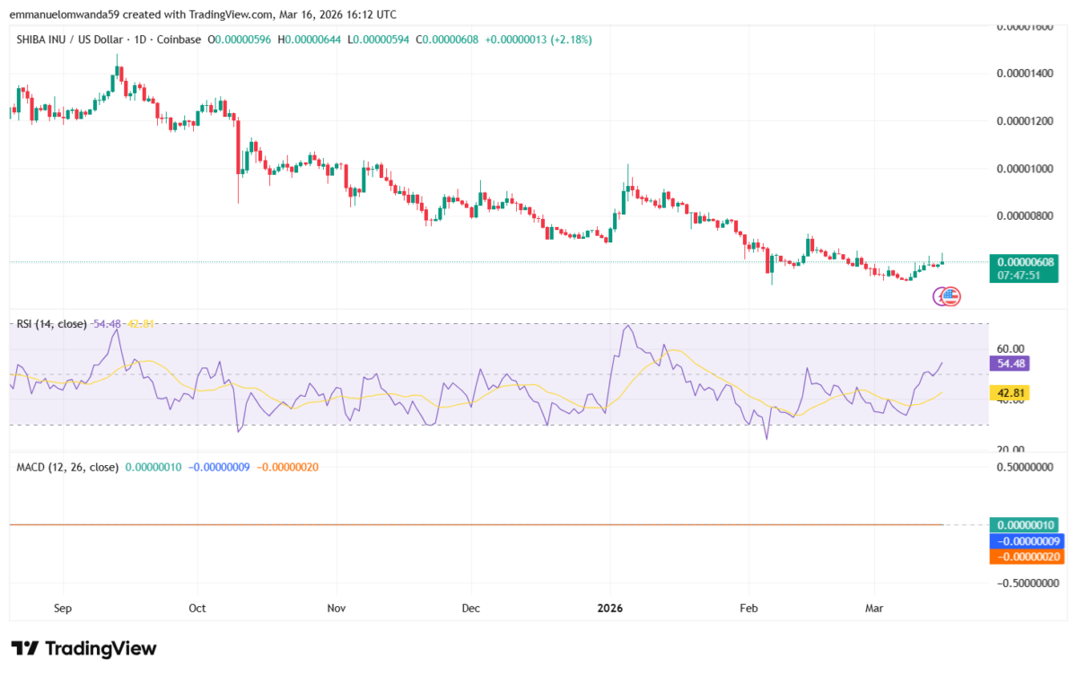 Graphique SHIB/USDT : TradingView