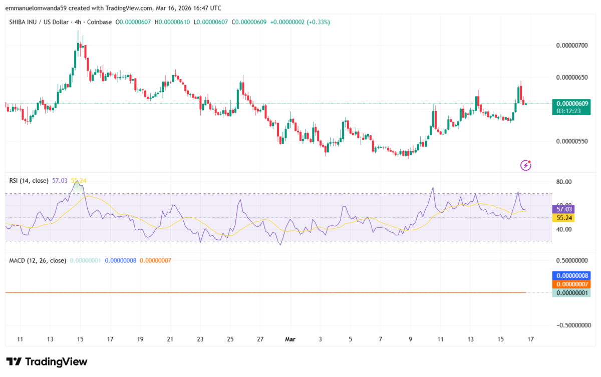 Graphique SHIB/USDT : TradingView