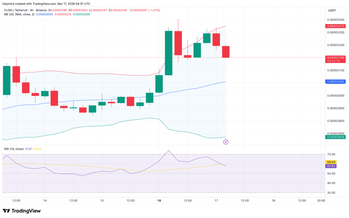 Grafico a 4 ore di FLOKI/USD
