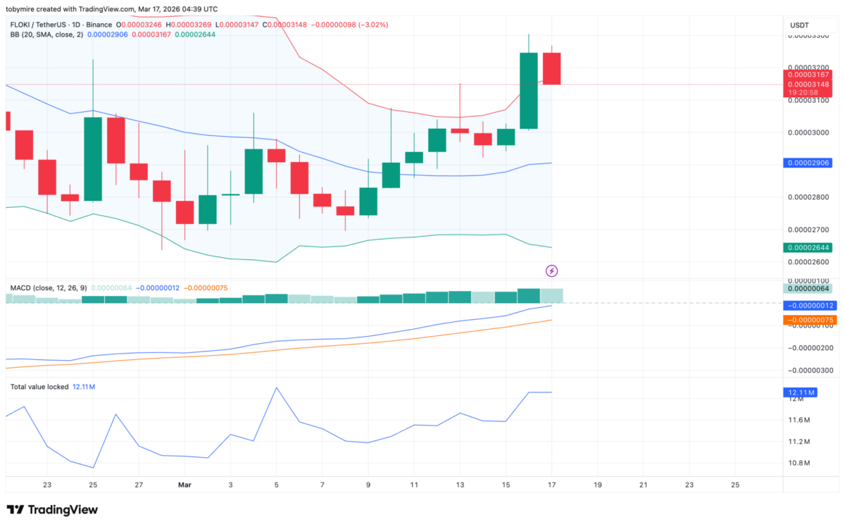 Grafico giornaliero FLOKI/USD