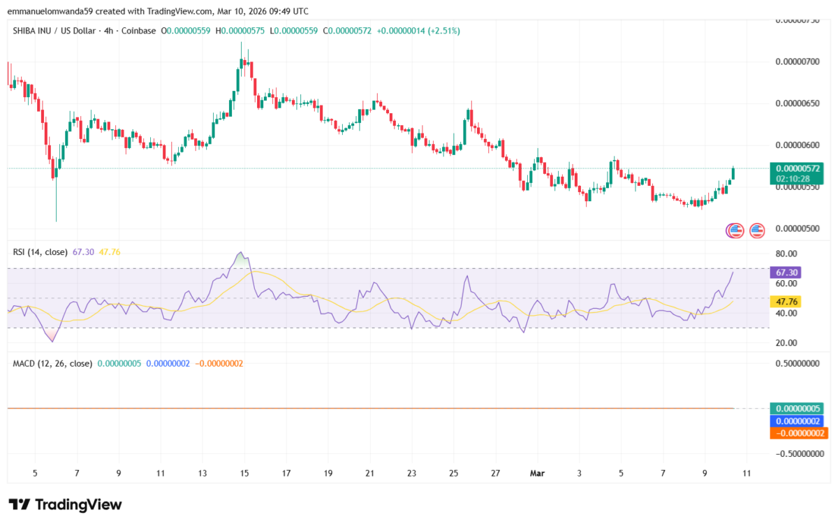 SHIB/USDT Chart: TradingView
