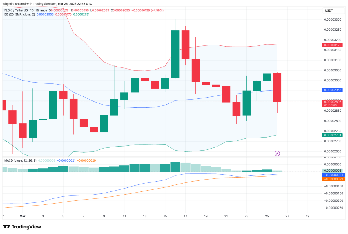 FLOKI/USD 1-day chart