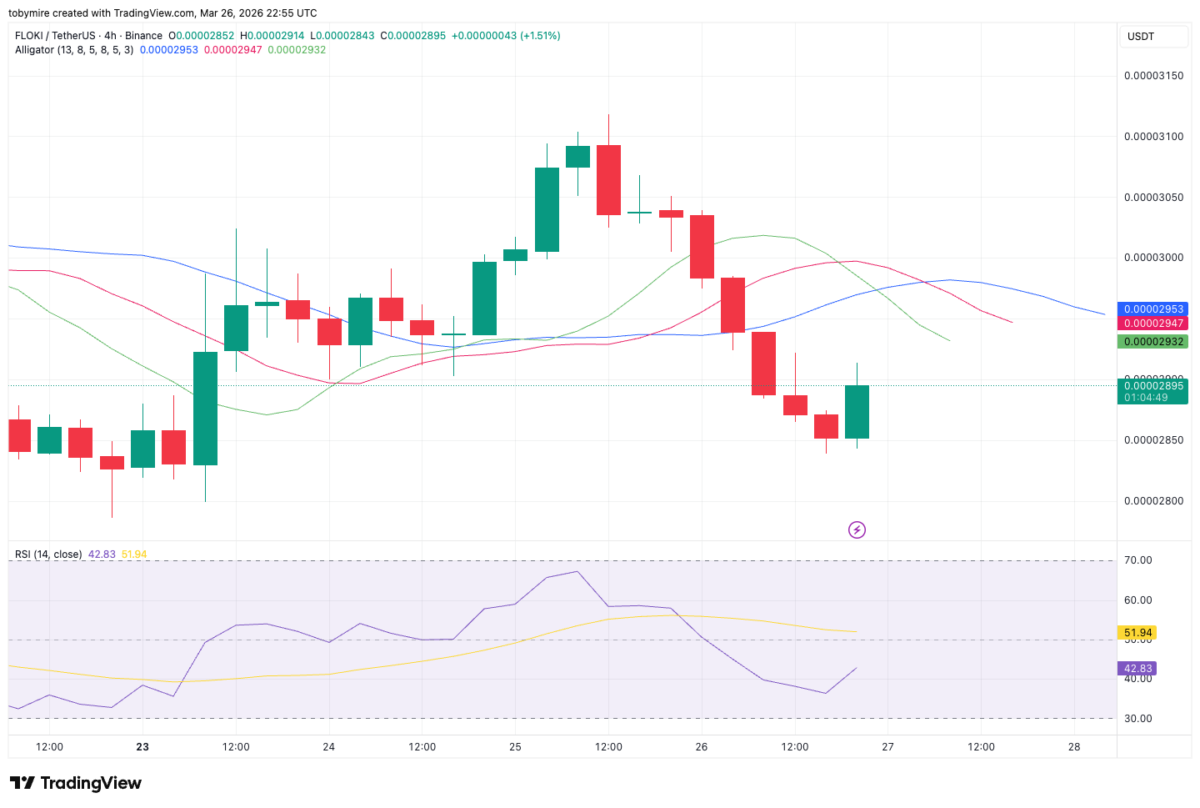 FLOKI/USD 4-hour chart