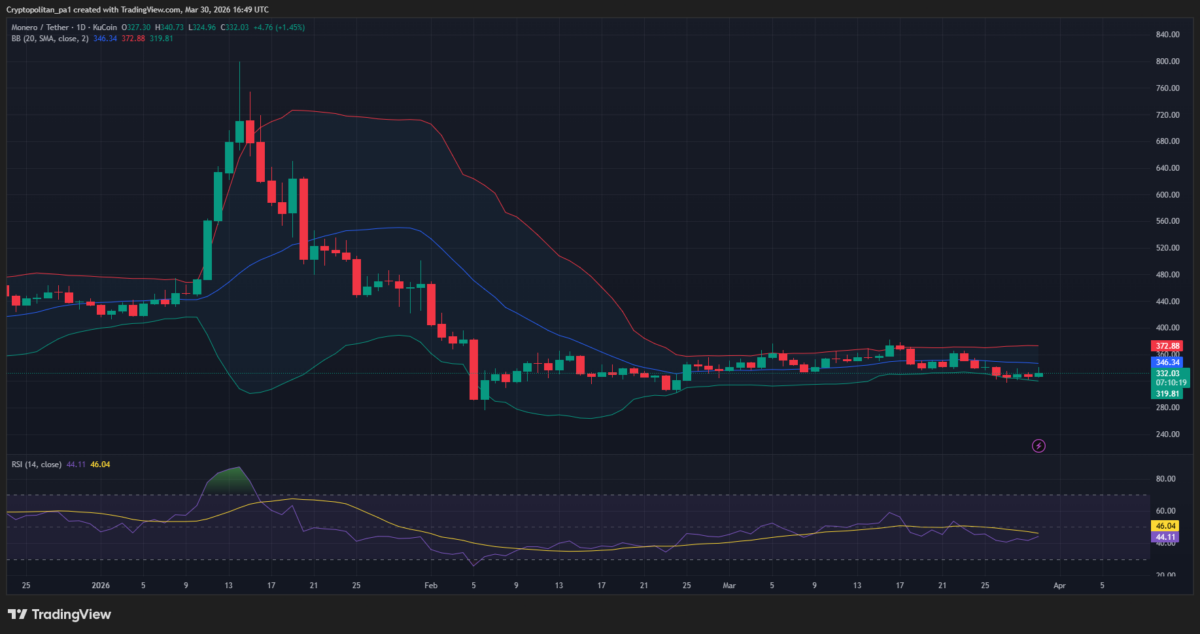 Grafico dei prezzi XMR/USDT: TradingView
