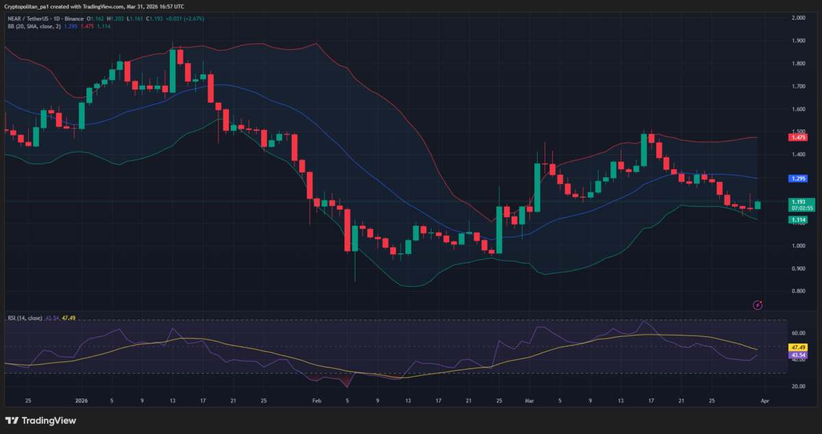 NEAR/USDT price chart: TradingView