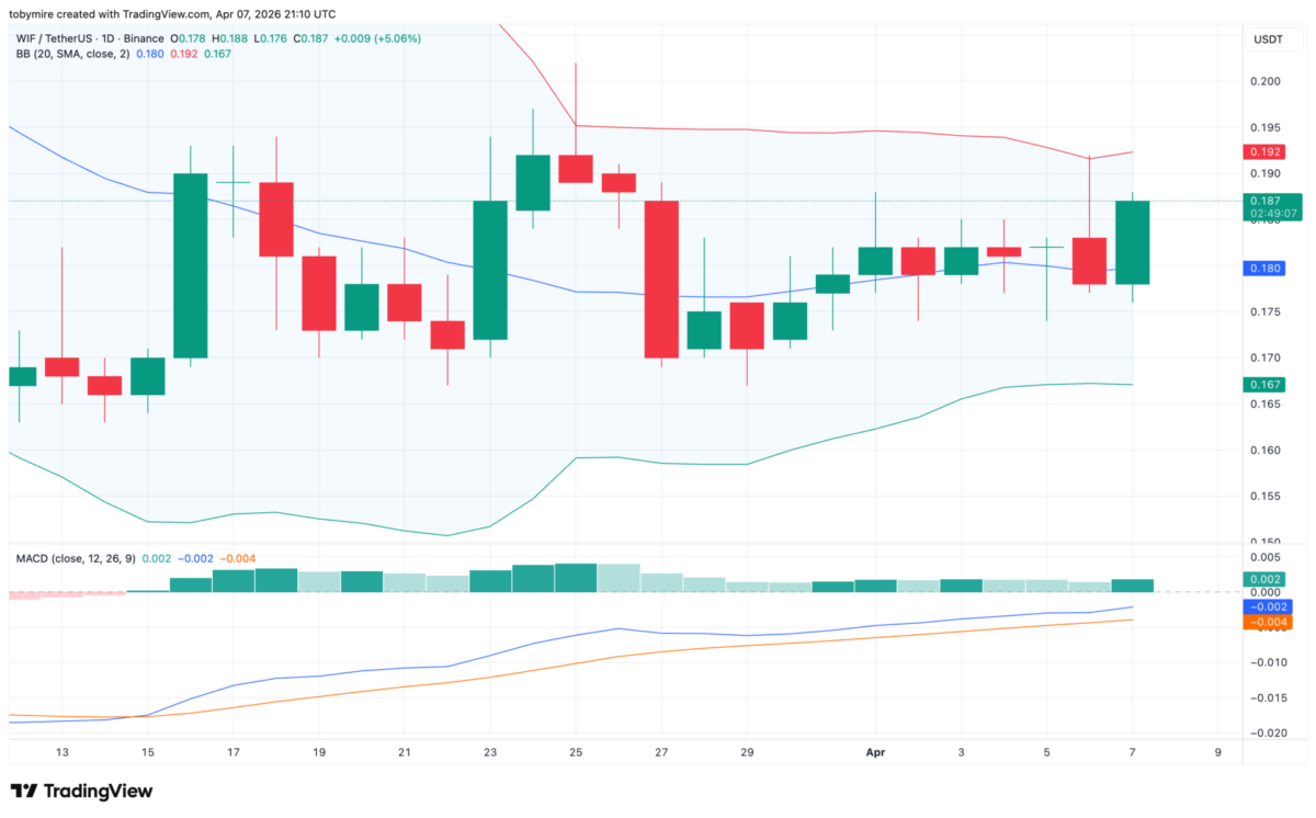 Dogwifhat price analysis 1-day chart