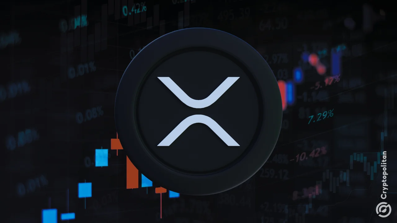 XRP holders face biggest unrealized losses since 2022