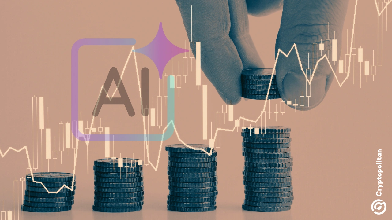 Allbirds sparks vertical stock rally with AI compute pivot