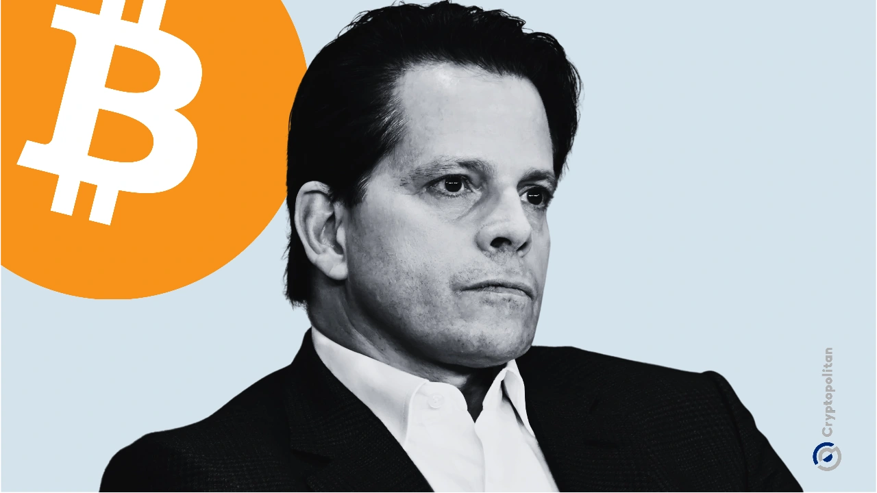 "سيمتلك الجميع Bitcoin": سكاراموتشي يصف حيازة شركة سبيس إكس بأنها الدليل القاطع على تبني الشركات لها