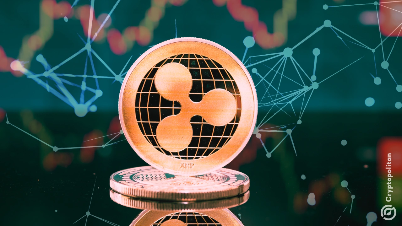 أثار إدراج عملة XRP في شركة SoFi ردود فعل غاضبة بشأن عمليات السحب، في حين يستكشف عمالقة وول ستريت مدى انخفاض قيمة XRP.