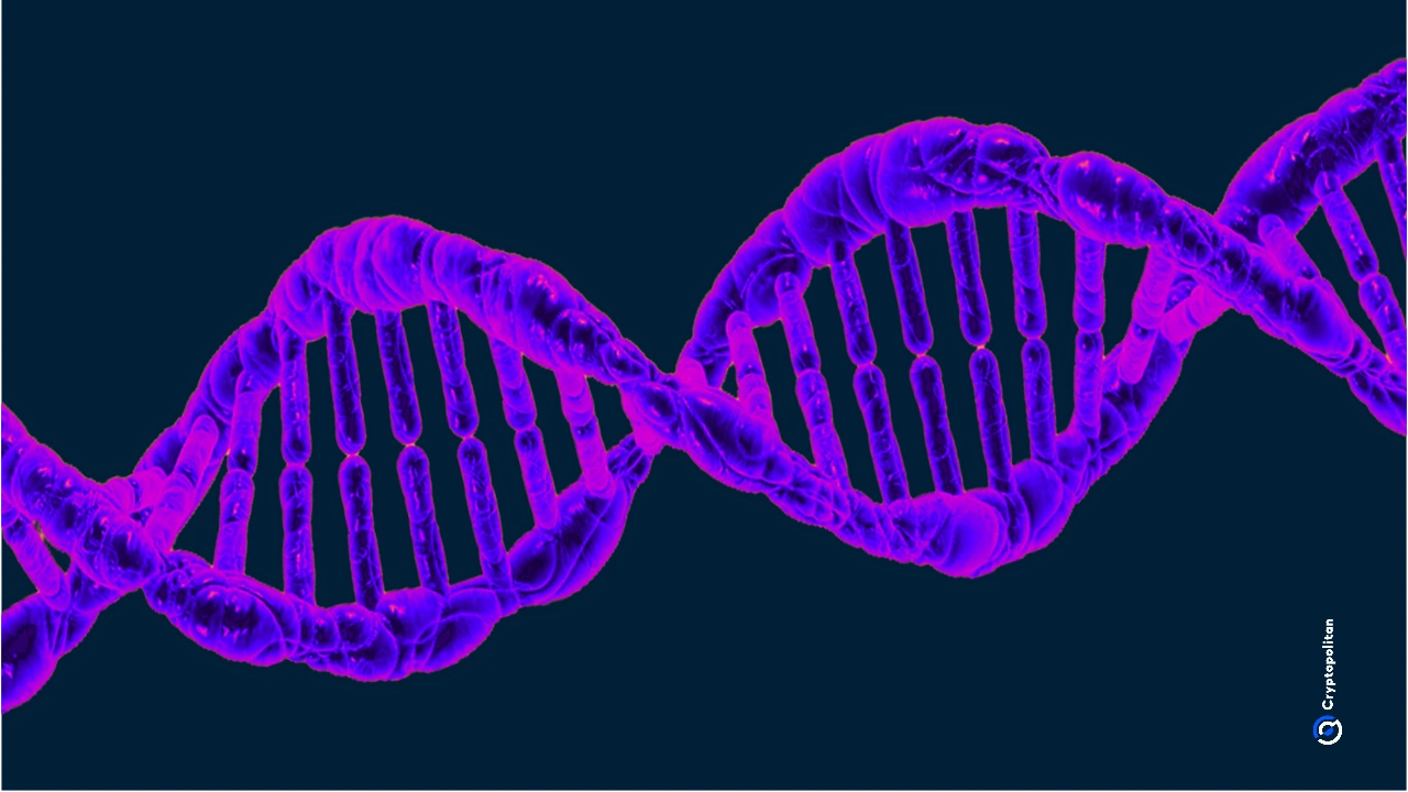 Life expectancy is rising, but maximum human lifespan remains flat