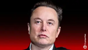 Elon Musk, OpenAI 법정 증언에서 암호화폐를 사기라고 주장