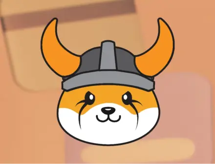 Graphic with Floki's logo