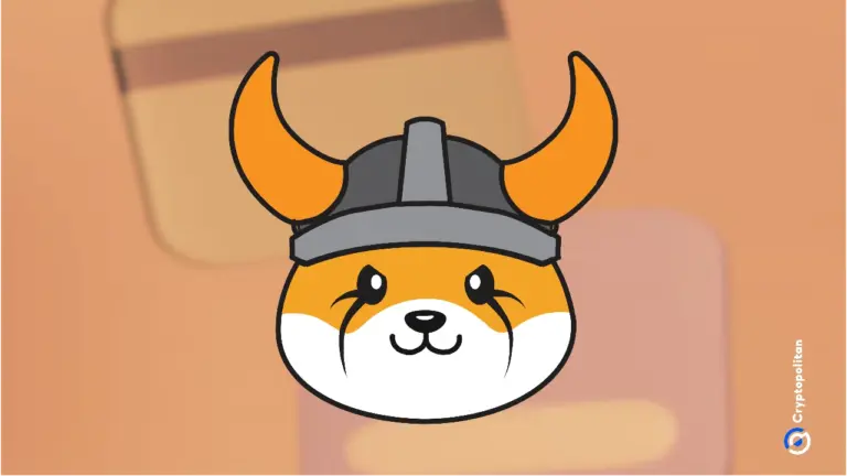 Graphique avec le logo de Floki