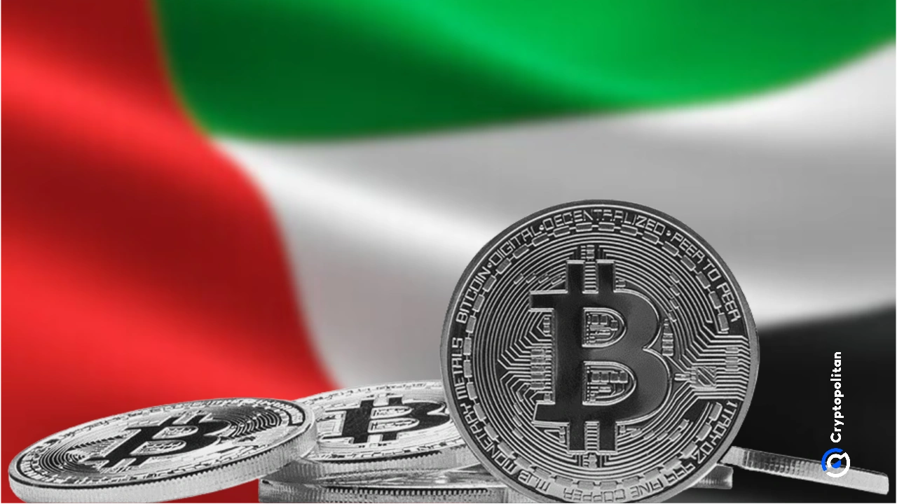 Le groupe Amber de Hong Kong obtient une licence de cryptomonnaie aux Émirats arabes unis.