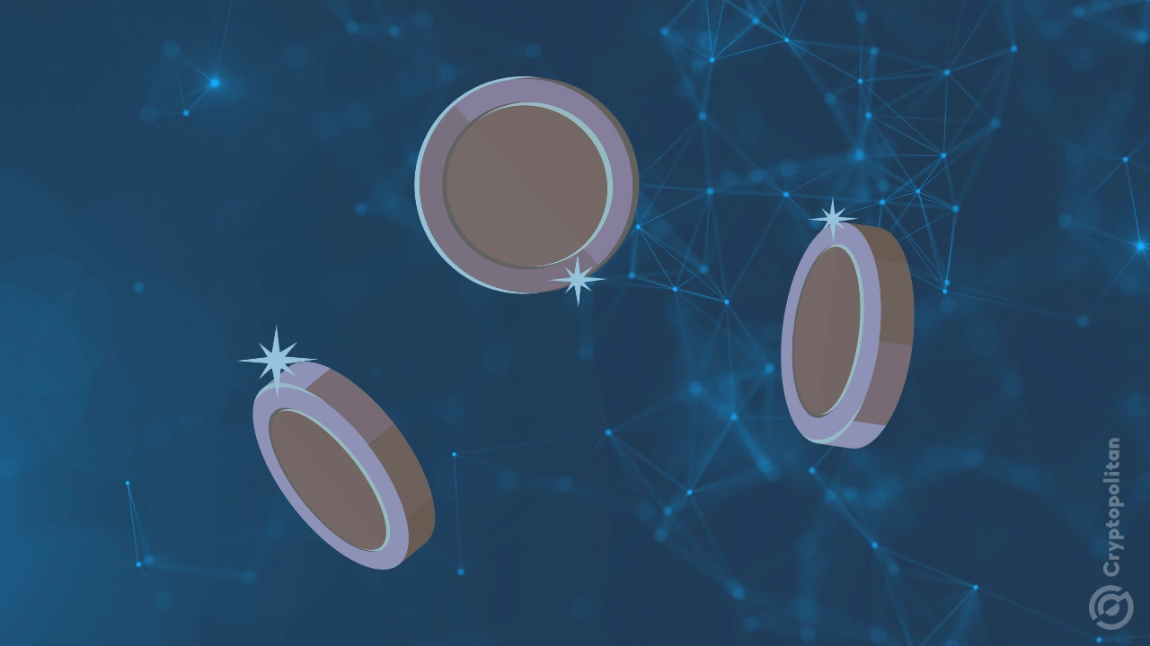 Institutions remain bullish on DeFi, but pool, hub models have lost all trust