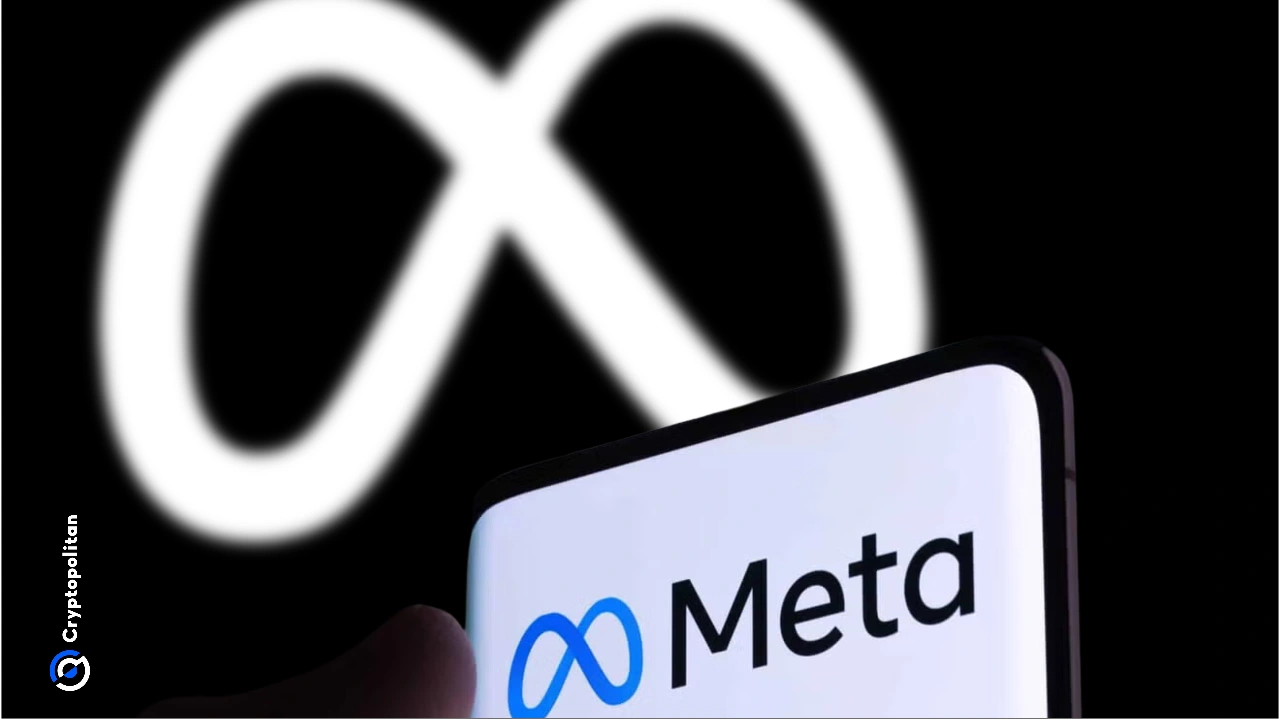 Meta reenters stablecoin space with USDC payouts