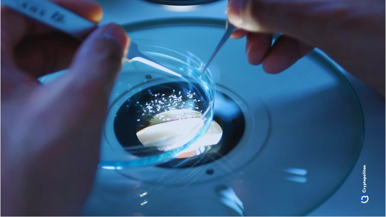 Chinese scientists have developed a clock that can track immune aging in humans