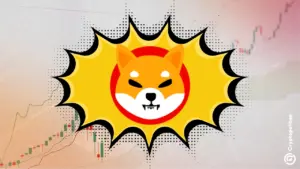 Shiba Inu coin price prediction 2024-2030