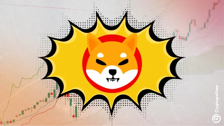 Shiba Inu coin price prediction 2024-2030