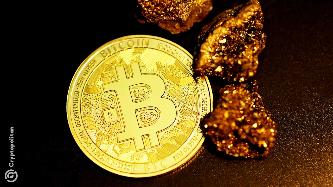 Citi constató que a los inversores les fue mejor a largo plazo al poseer tanto Bitcoin como oro, en lugar de tener que elegir entre ellos.