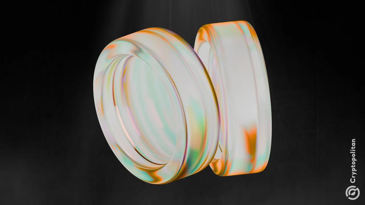 RAVE and SIREN extend gains amid market manipulation warnings