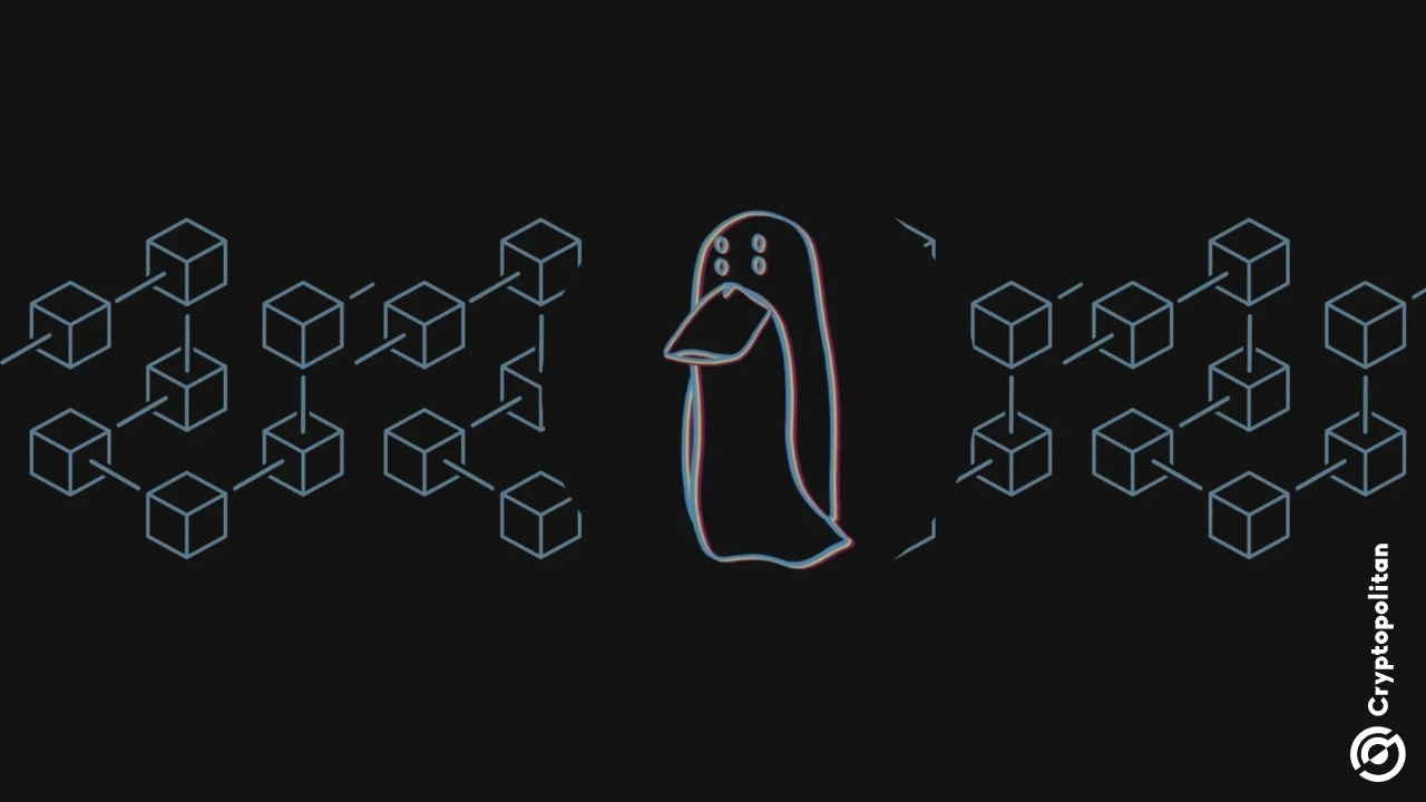После краха RAVE и SIREN, наблюдение за манипуляциями со стороны инсайдеров выявило новую цель
