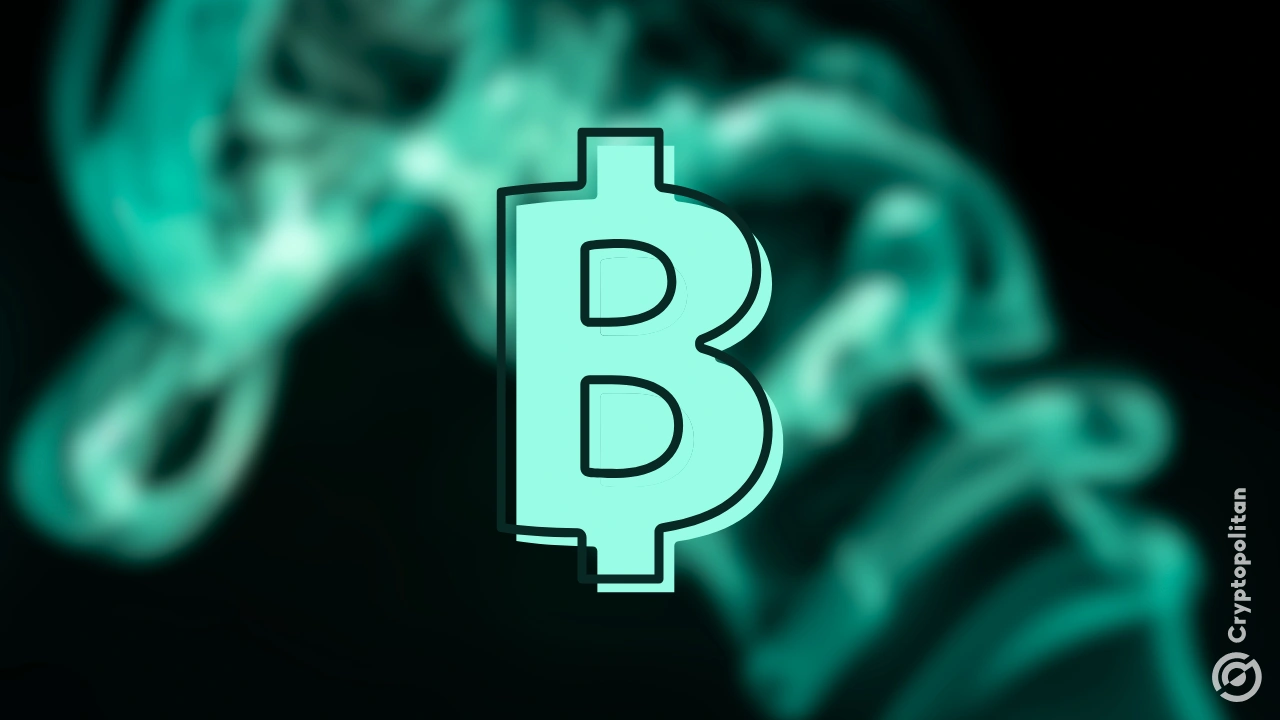 Der CEO der Zonda-Börse macht den verschwundenen Gründer für den Verlust von 336 Millionen US-Dollar in Bitcoin verantwortlich