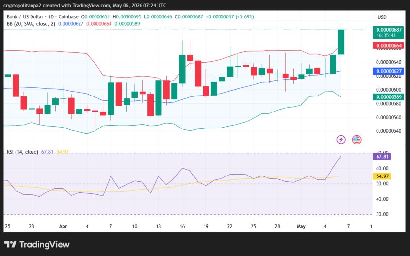 BONK/USD 1-day price chart.