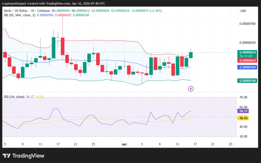 BONK/USD 1-day price chart.
