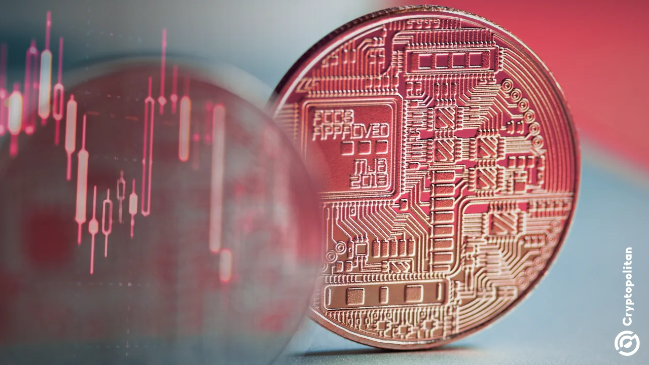 Losses from Zondacrypto crash exceed $95M as Polish exchange halts withdrawals