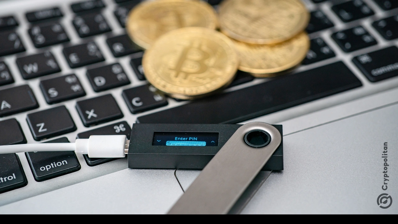 BTC-e crypto in cold wallets was not seized by US, Vinnik claims.