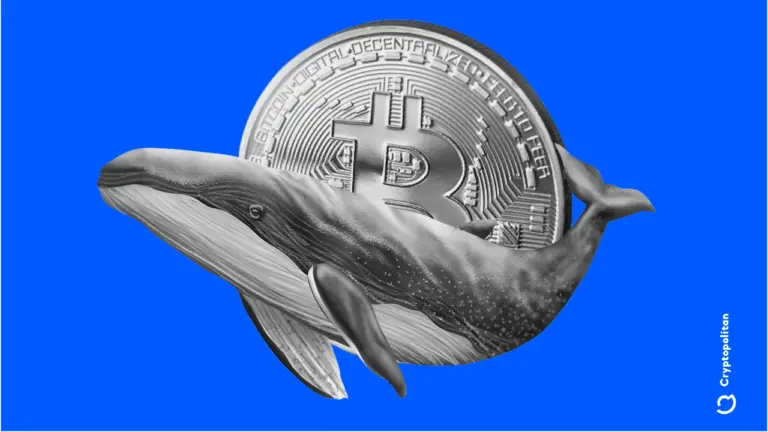 BTC whale accumulation helped the rally above $74,000.