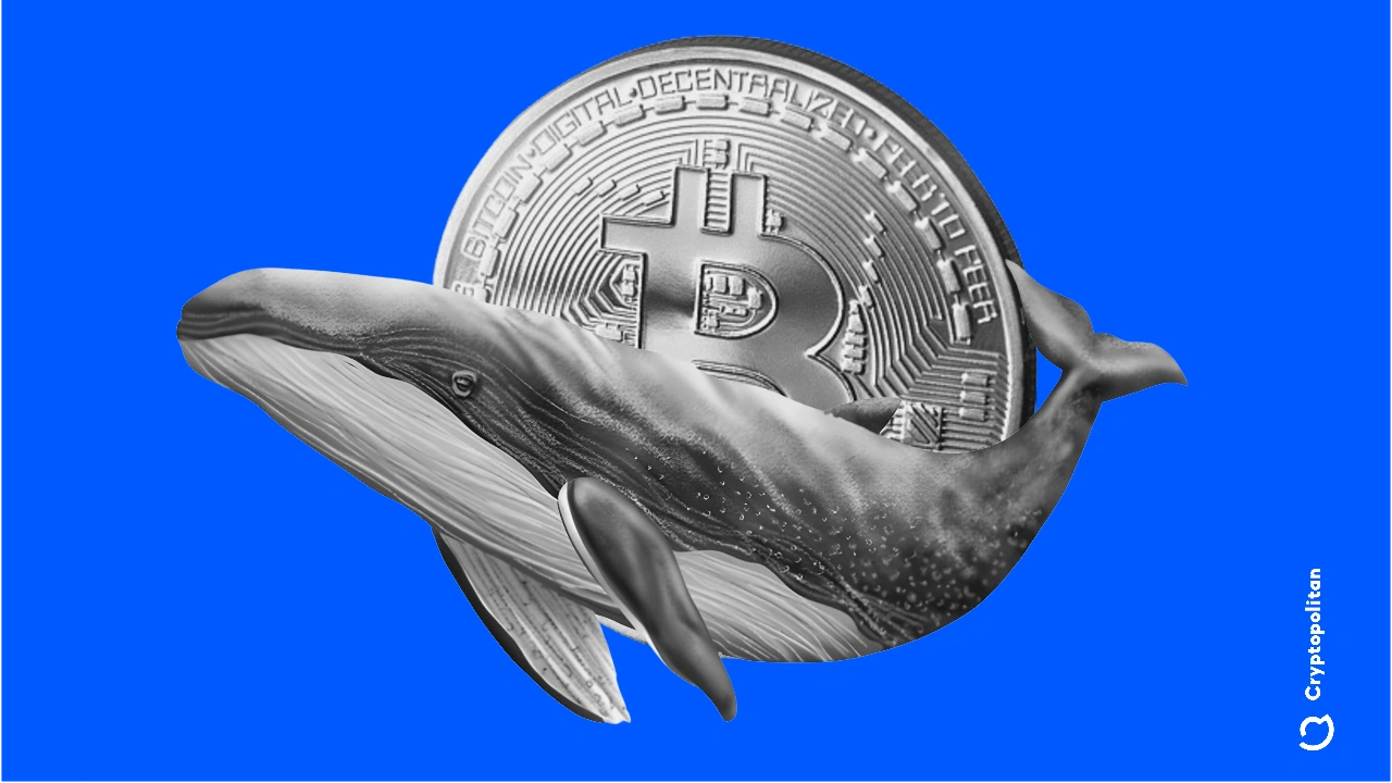 BTC whale accumulation helped the rally above $74,000.