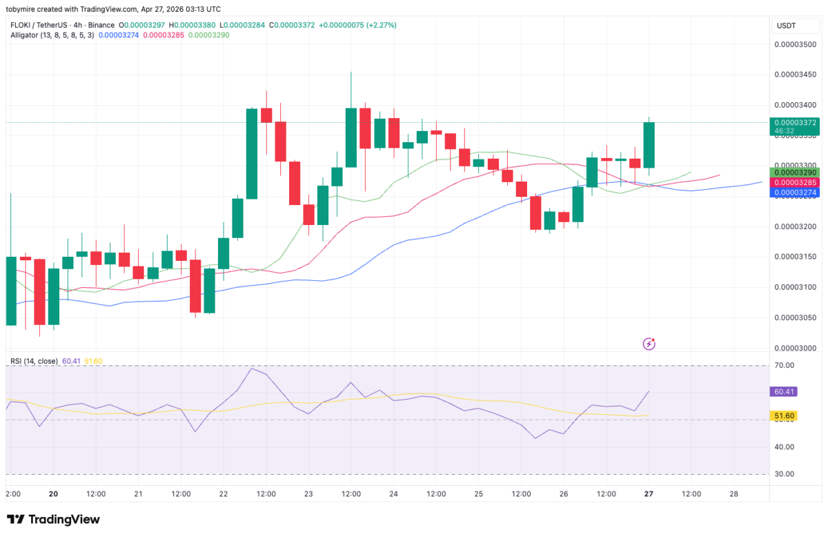 FLOKI/USD 4-hour chart