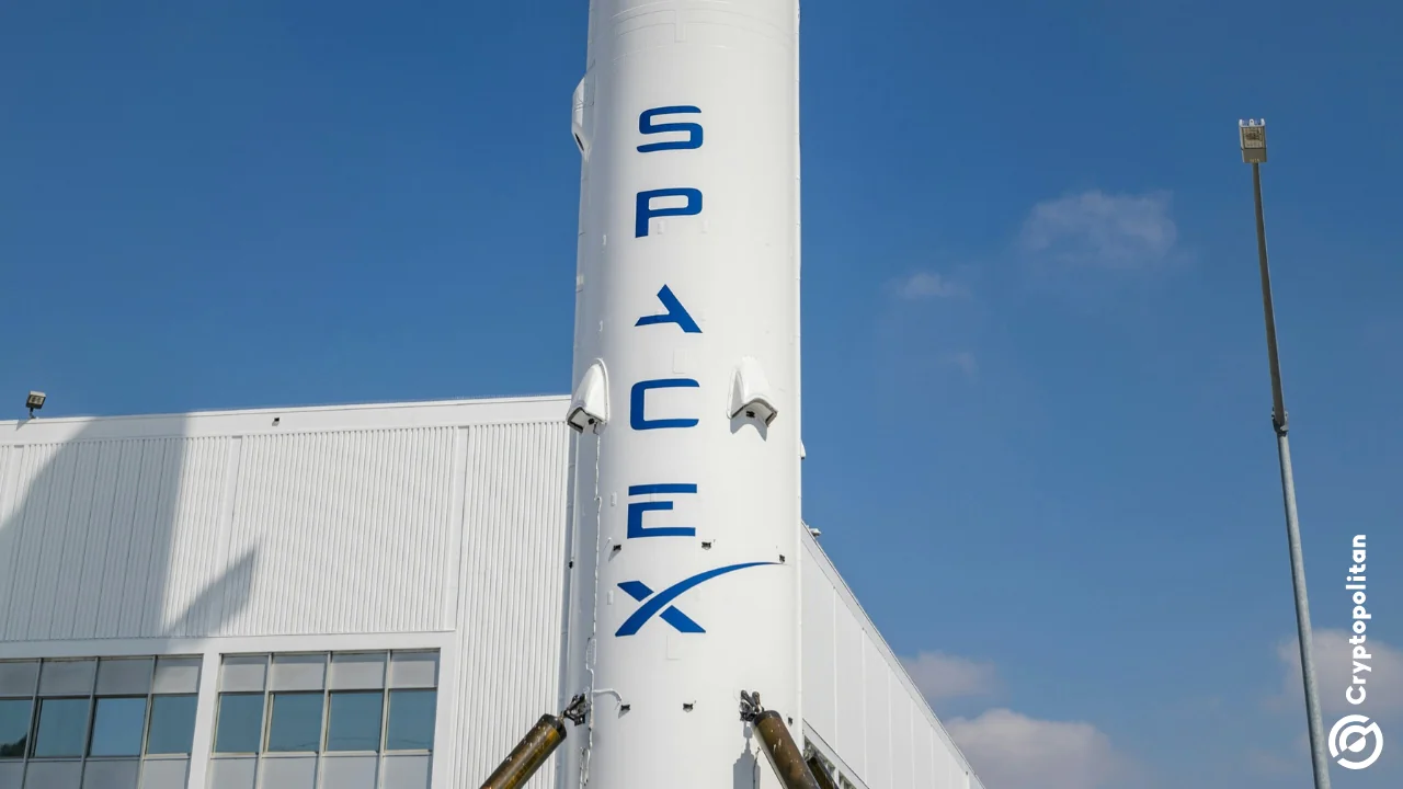 SpaceX eyes building its own GPUs as AI plans expand