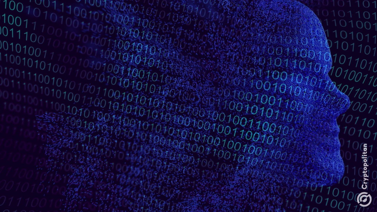 Tesla joins race to lead voice assistant tech in Chinese EV market