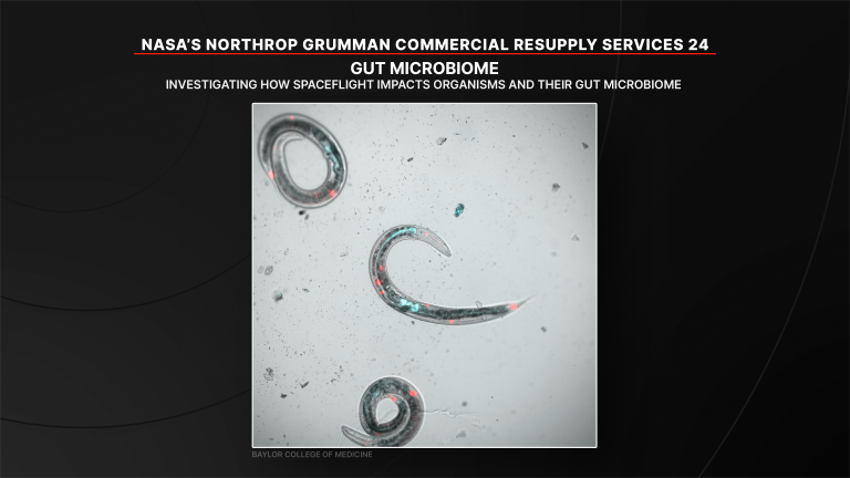 Microbioma intestinal. Fonte: NASA