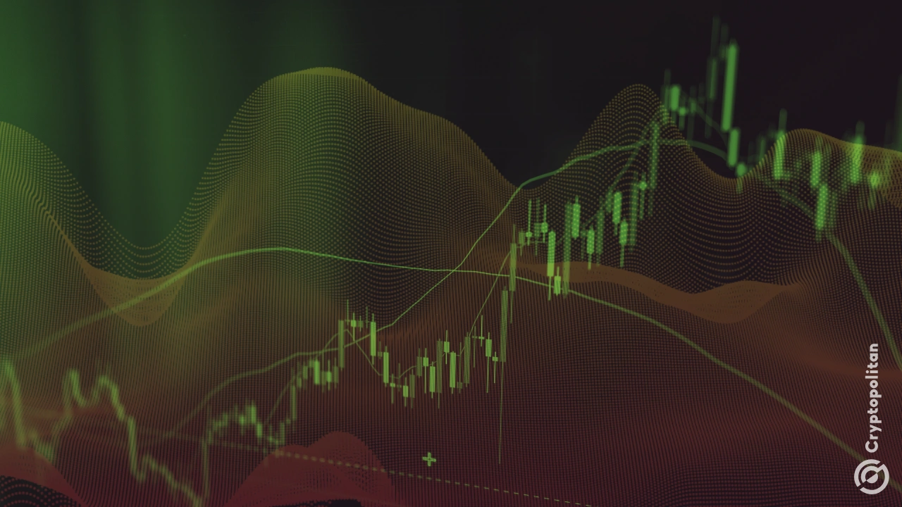 Broadcom shares rise on AI chip contract wins